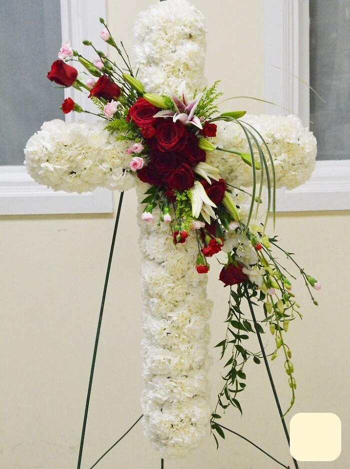 CROSS-11L