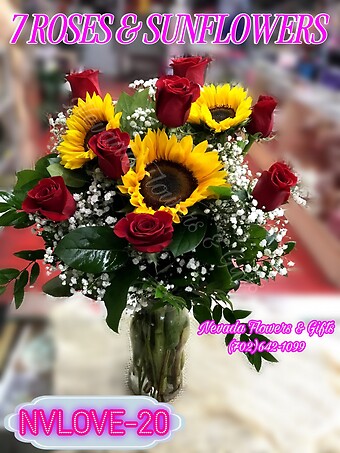 NVLOVE-20