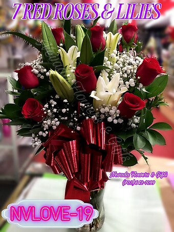 NVLOVE-19