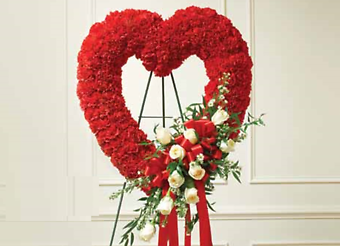 Red Carnation Heart